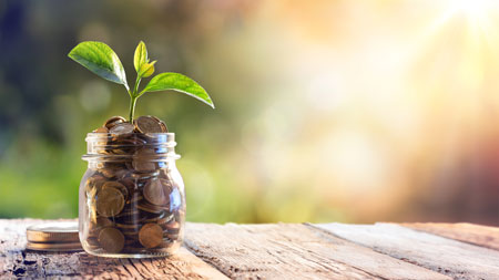 Private Foundations: Avoiding Prohibited Transactions
